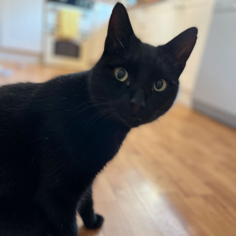 Murphy
