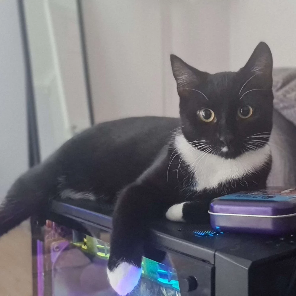 Amaretto