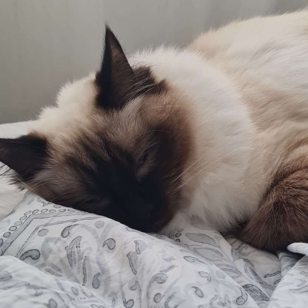 Peggy