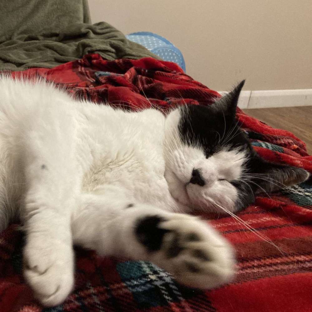 Smudge