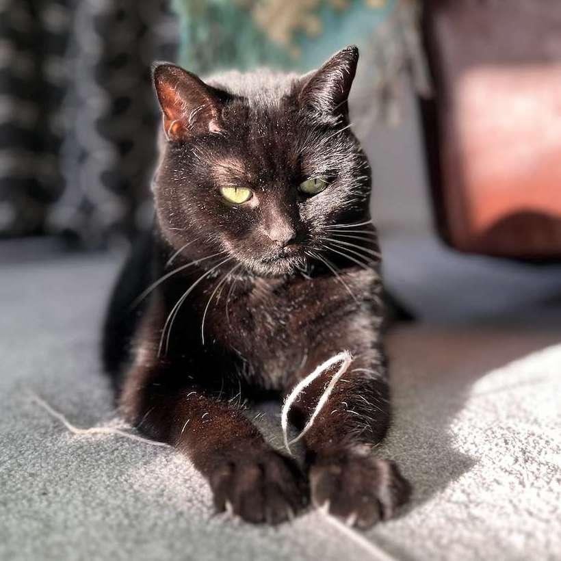 Luna
