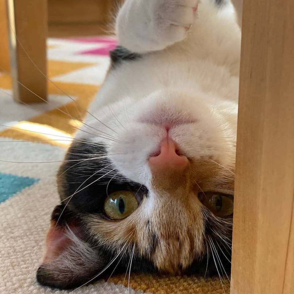 Amber