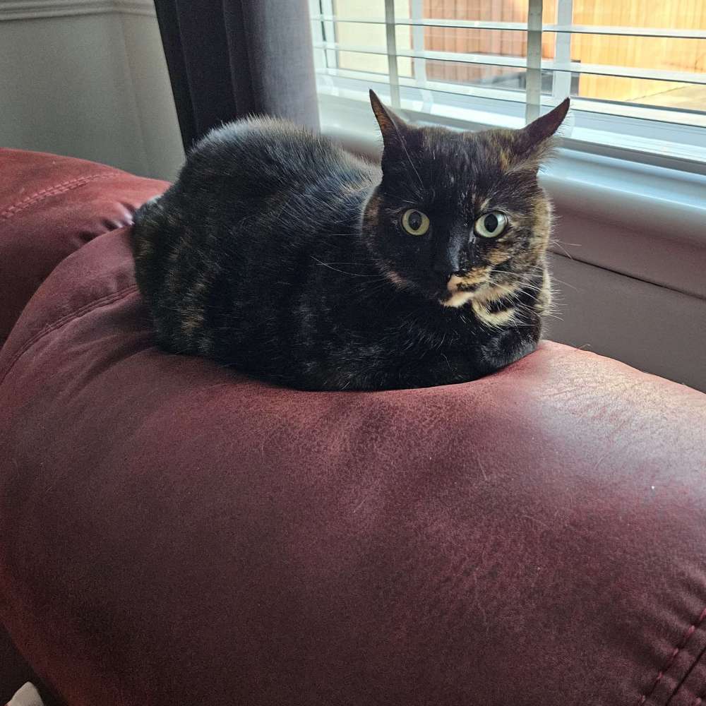 Coco
