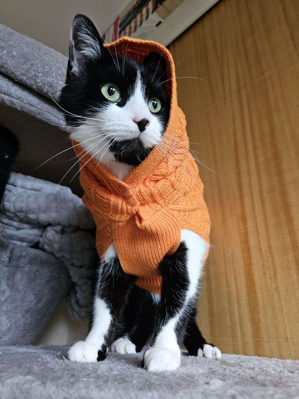 Spudnik