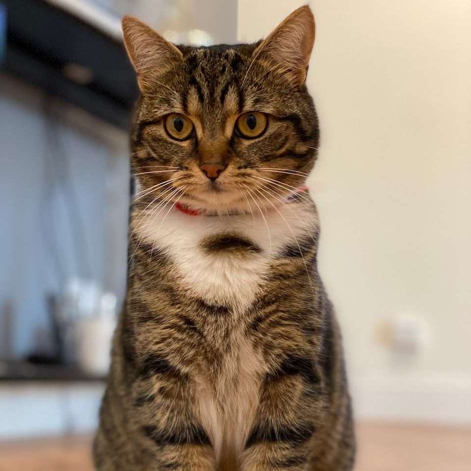 Sacha