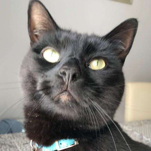 Tom