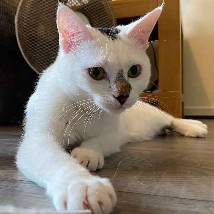 Casper