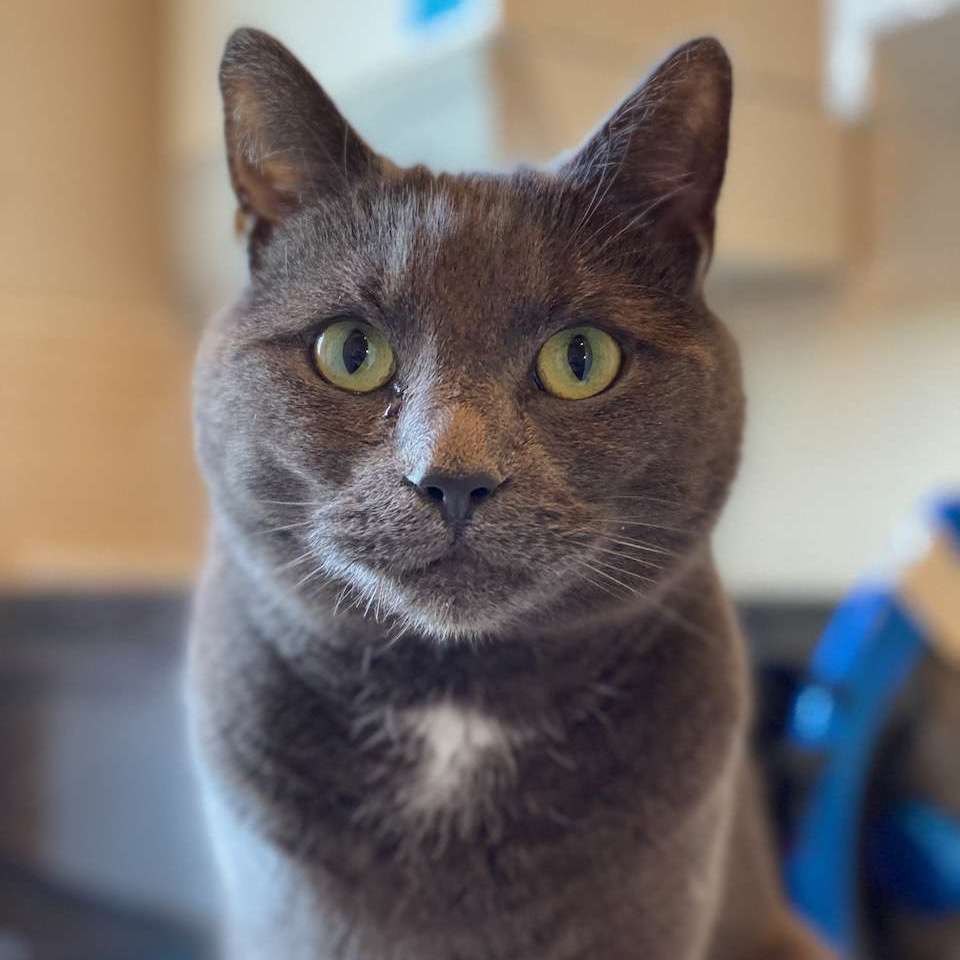Jim