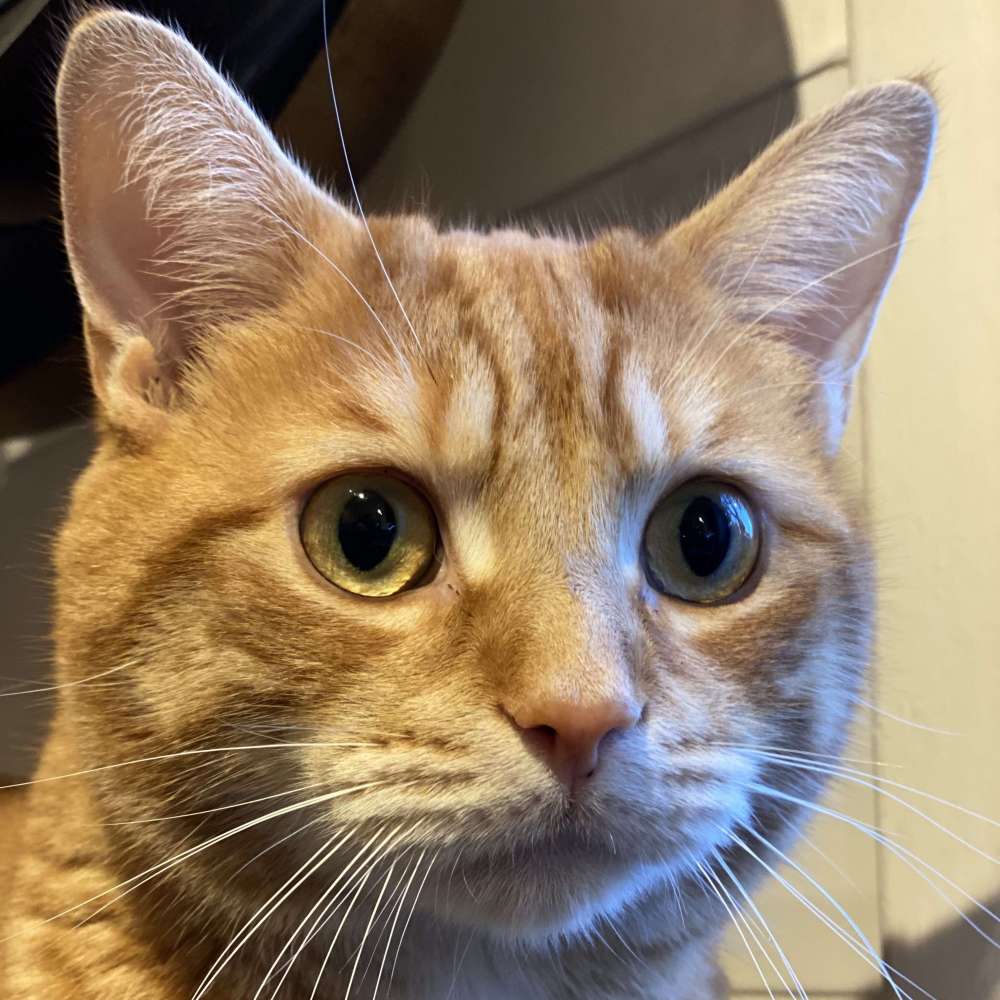 Charlie