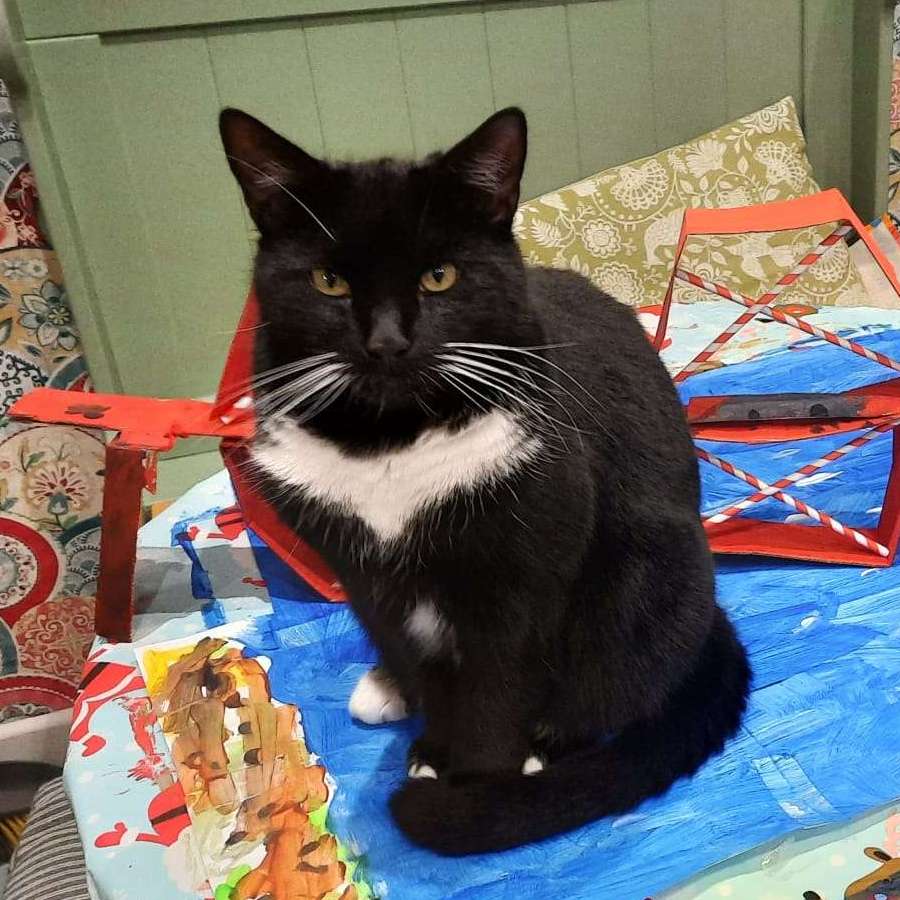 Pinocchio