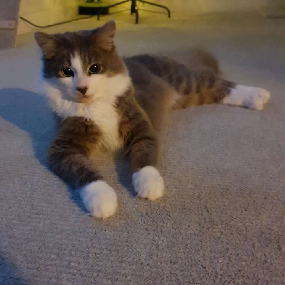 Luna
