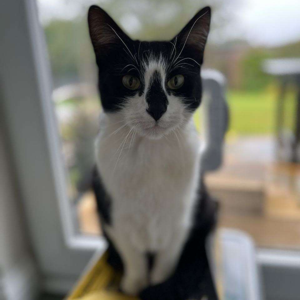 Reg