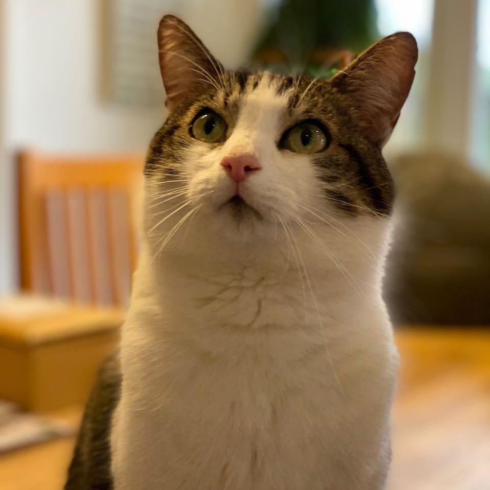 Kevin