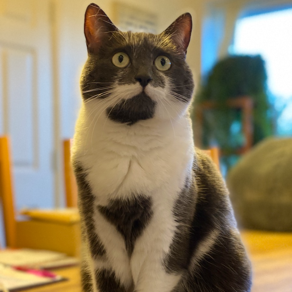 Luna