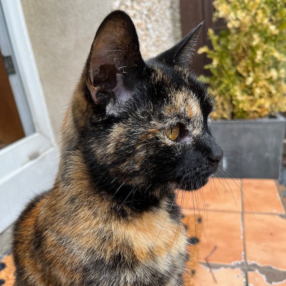Lola
