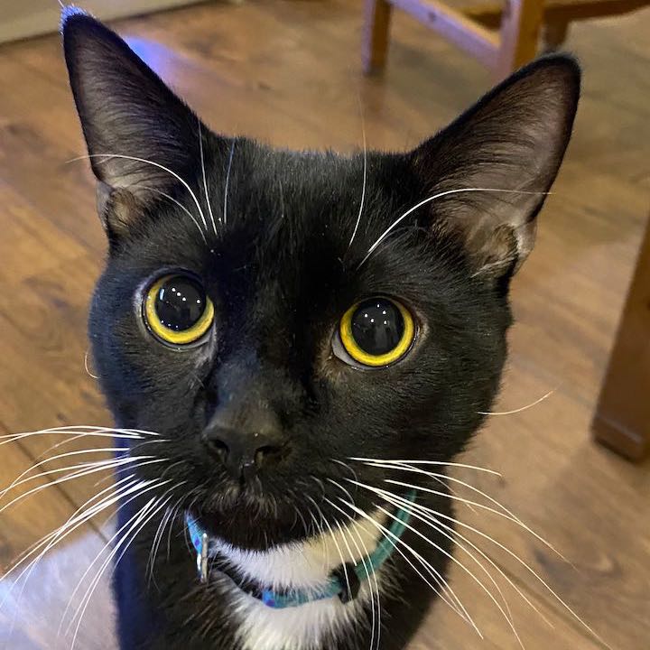 Pablito