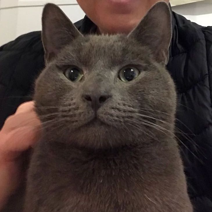 Pablo
