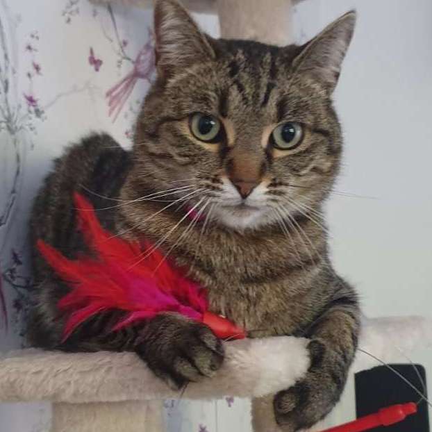 Mimi