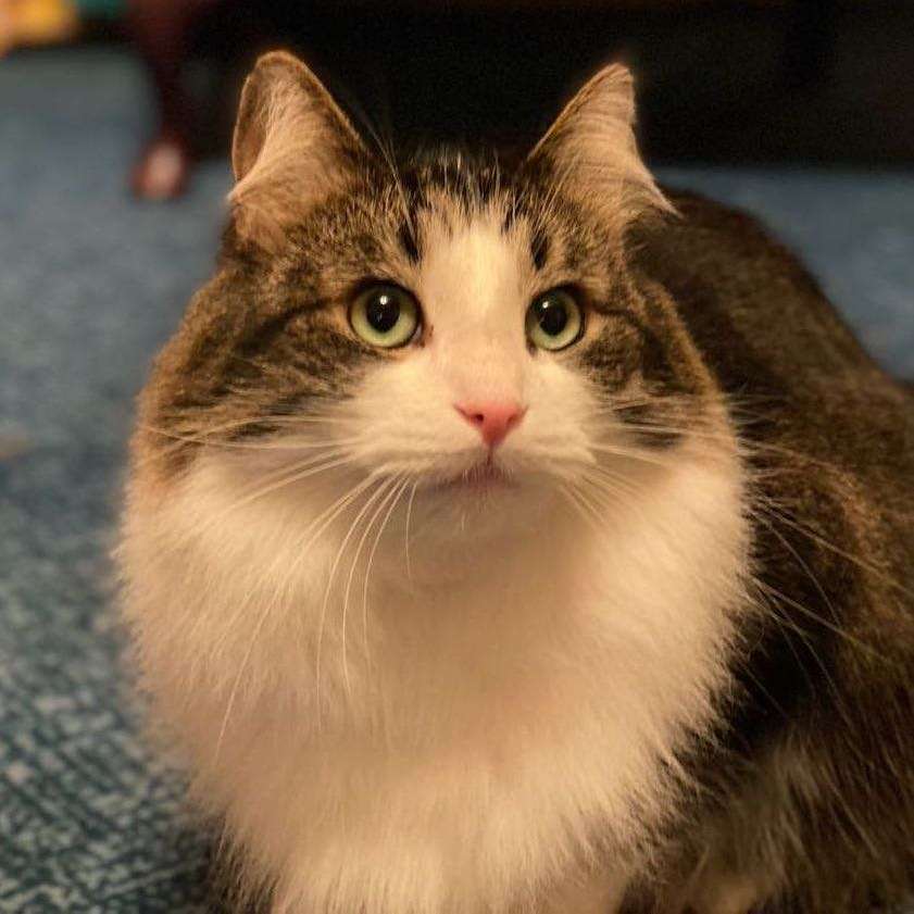 Max